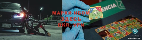 PSILOCYBIN Няндома
