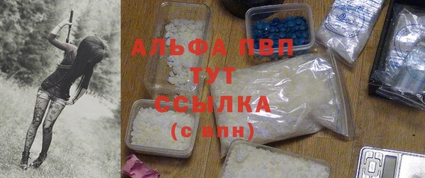 PSILOCYBIN Няндома