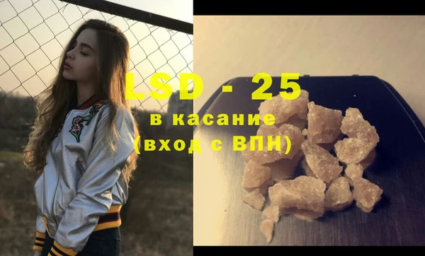 PSILOCYBIN Няндома
