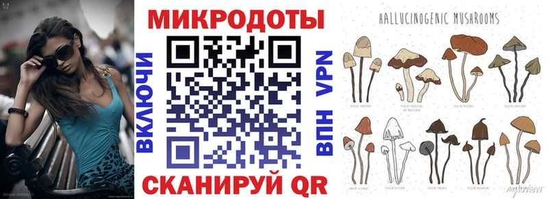 Псилоцибиновые грибы MAGIC MUSHROOMS  Купить  Избербаш 
